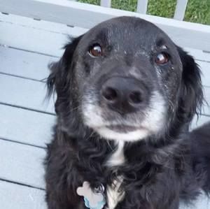 Meet your Posher, Carla